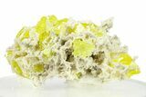 Striking Sulfur Crystals on Fluorescent Aragonite - Italy #282569-1